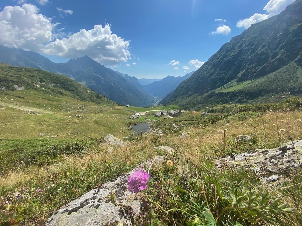 Mountain Cabin Valsesia Appartement Stella Varallo Luaran gambar